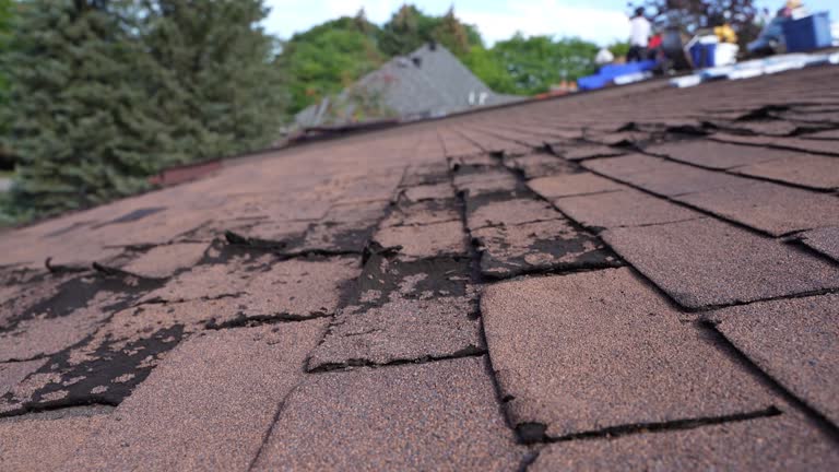 Best Roof Moss and Algae Removal  in Galion, OH