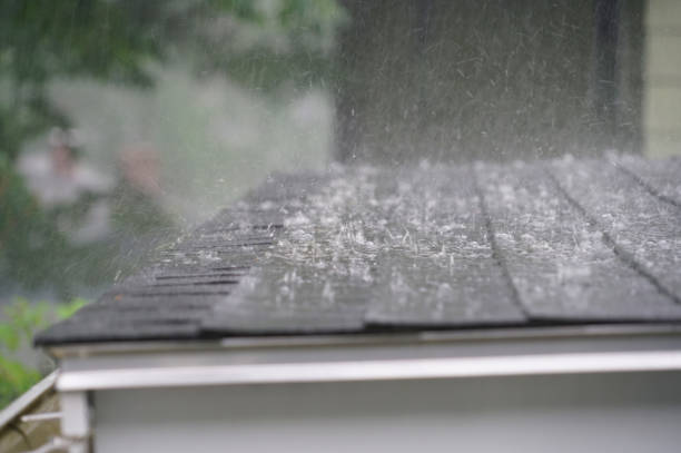 Best Storm Damage Roof Repair  in Galion, OH