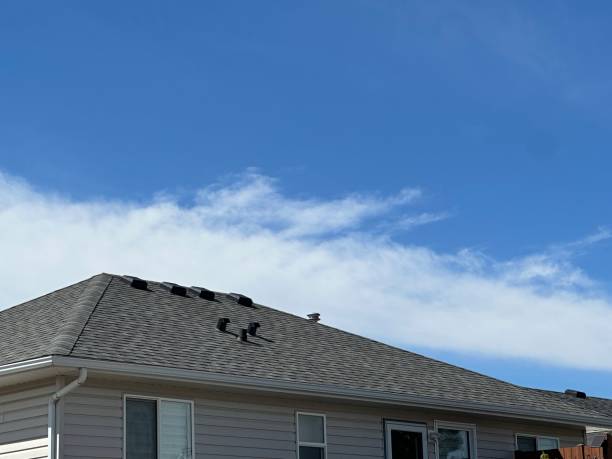 Best Roof Ventilation Installation  in Galion, OH